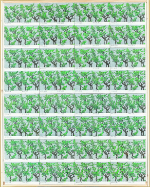 ときのかたち(ひめりんご)